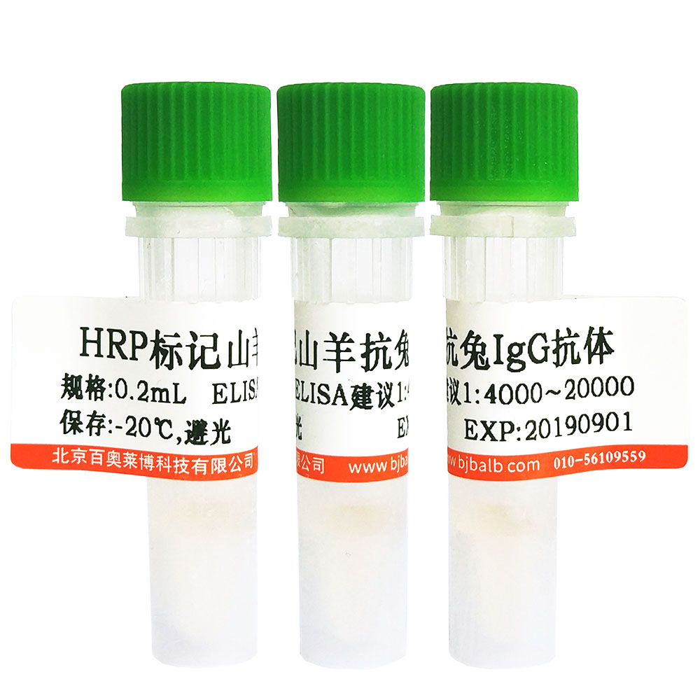 HRP标记山羊抗兔IgG(H+L)抗体图片
