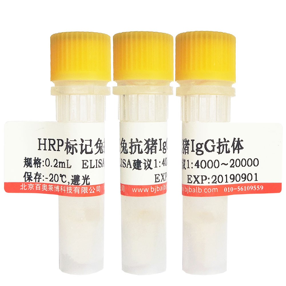 HRP标记兔抗猪IgG(H+L)抗体图片