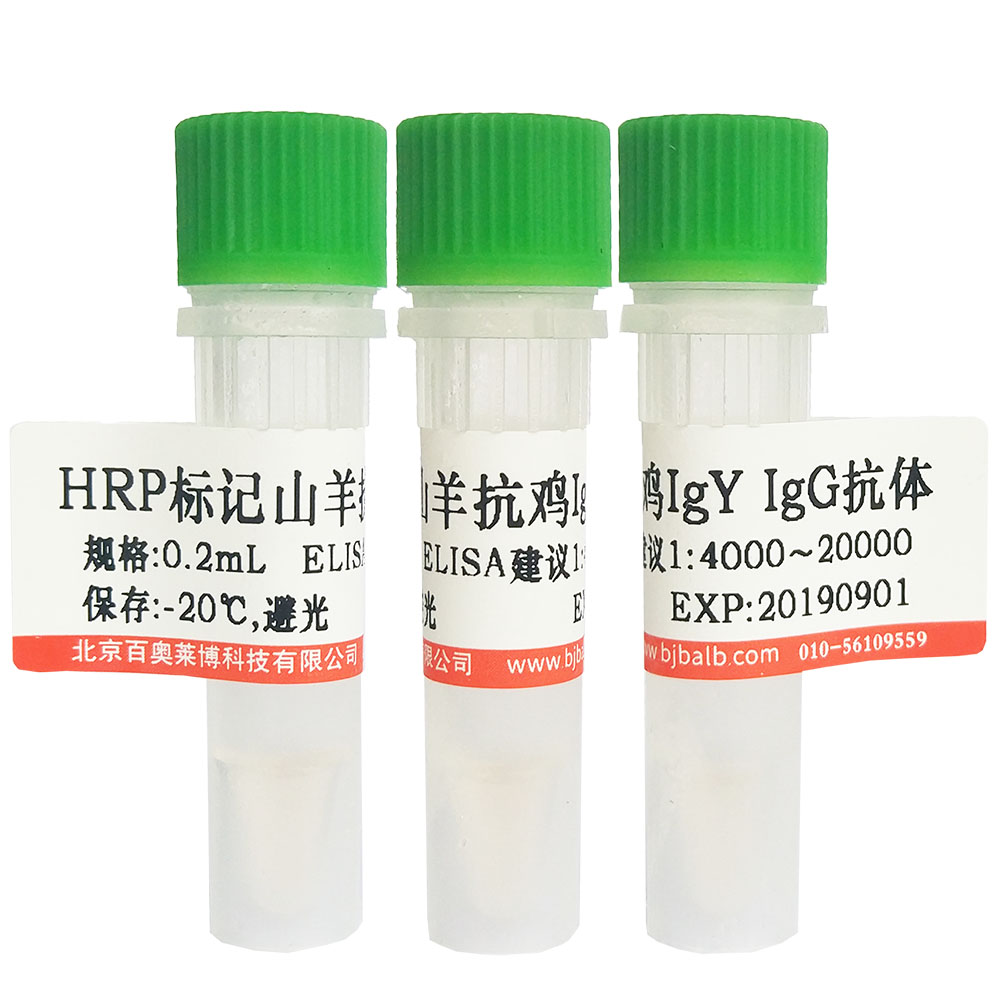 HRP标记山羊抗鸡IgY/IgG(H+L)抗体图片