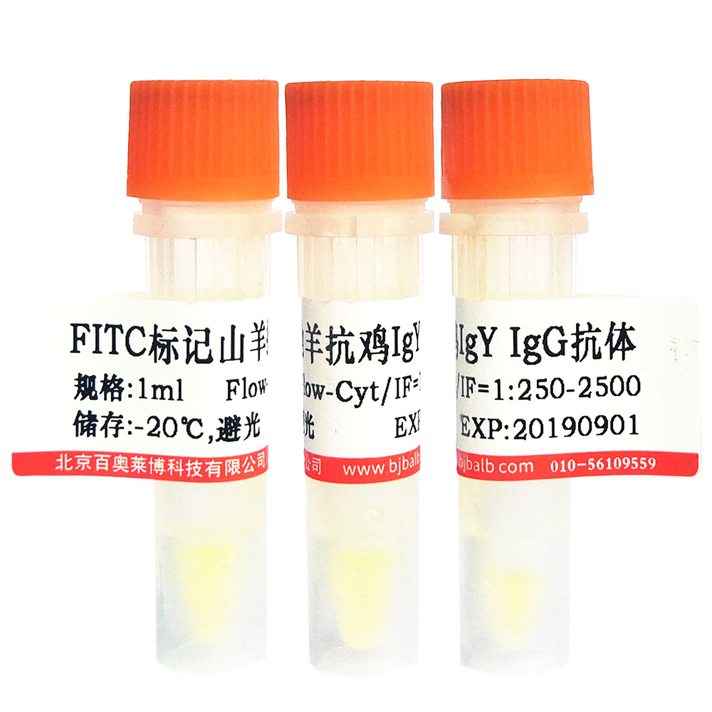 FITC标记山羊抗鸡IgY/IgG(H+L)抗体图片