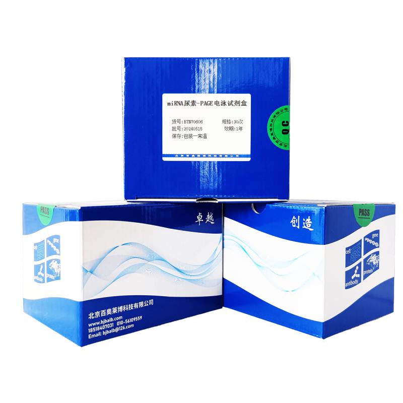 miRNA尿素-PAGE电泳试剂盒图片
