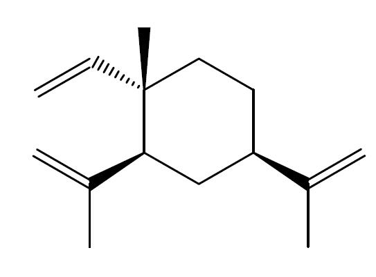 β-榄香烯
