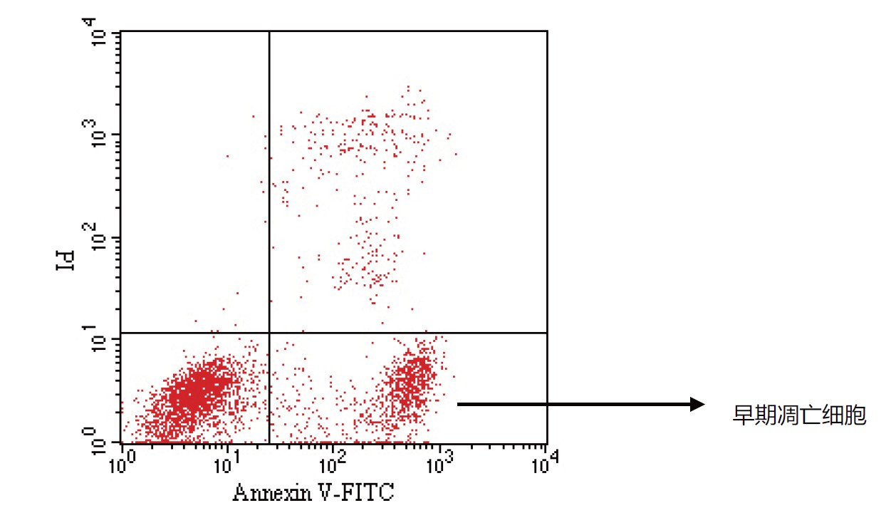 Annexin V-FITC与PI双染法