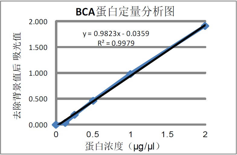 BCA蛋白定量分析图