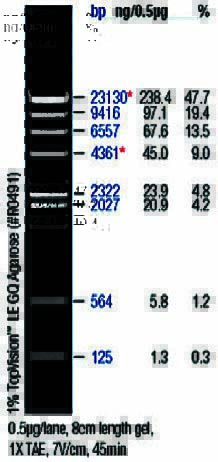 DNA marker(λDNA/HindIII)