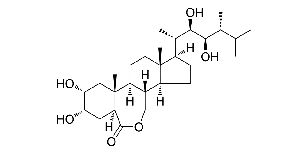 Epibrassinolide结构式