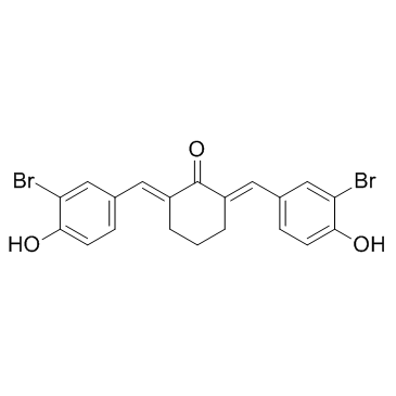 Histone Acetyltransferase Inhibitor II结构式