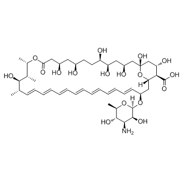 Amphotericin B结构式