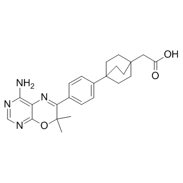 DGAT-1 inhibitor 2结构式