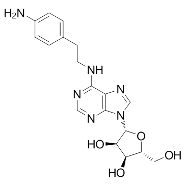 N6-[2-(4-Aminophenyl)ethyl]adenosine结构式