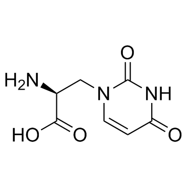 (S)-Willardiine结构式