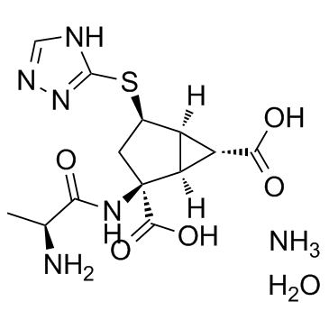 LY2979165结构式