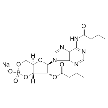 Bucladesine sodium salt结构式