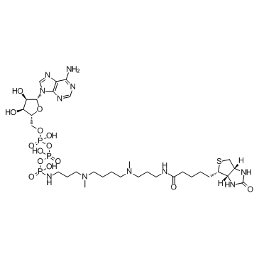 ATP-polyamine-biotin结构式