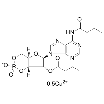 Bucladesine calcium salt结构式