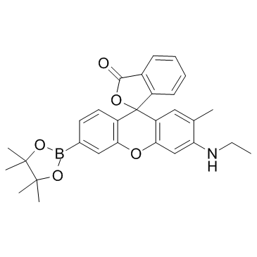 NucPE1结构式