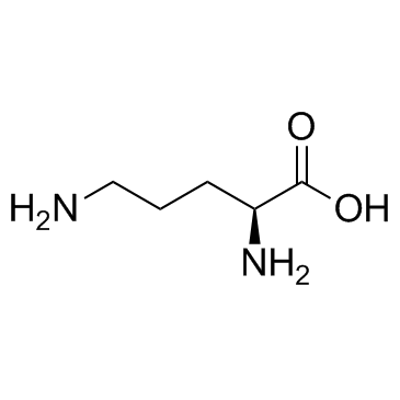 L-Ornithine结构式