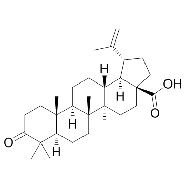 Betulonic acid结构式