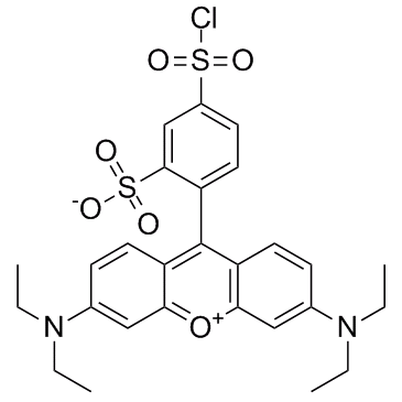 Sulforhodamine B acid chloride结构式