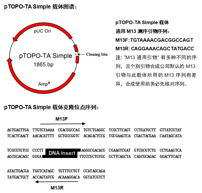 零背景TA克隆试剂盒(不含MCS) 零背景TA克隆试剂盒(不含MCS)