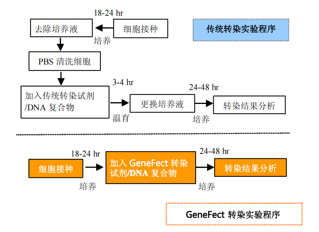 DNA转染试剂