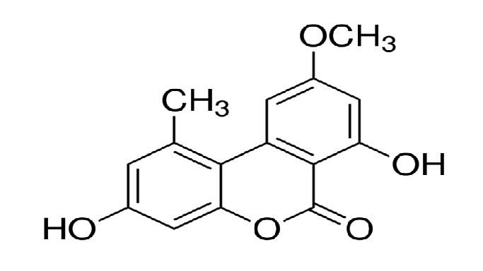 交链孢酚单甲醚结构式