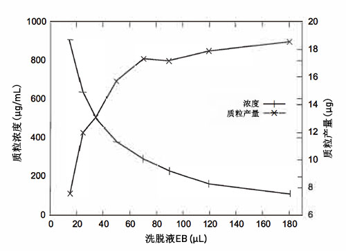 柱式质粒DNA小量抽提试剂盒