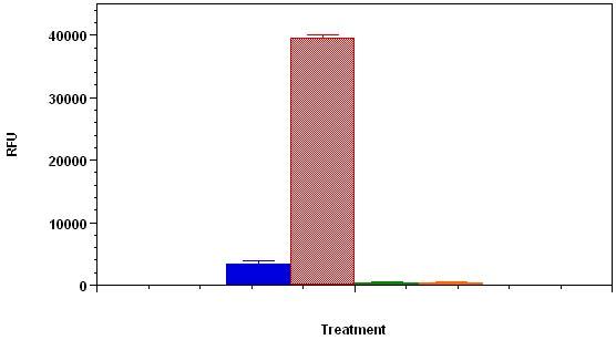 Caspase 3/7活性细胞凋亡检测试剂盒(绿色荧光)