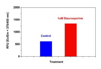 Caspase 9活性细胞凋亡检测试剂盒(蓝色荧光)