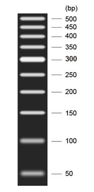 即用型DNA Marker L(50～500bp)