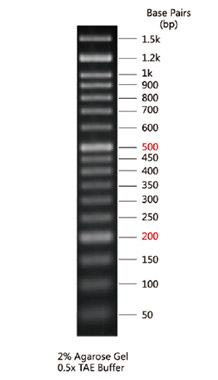 DNA Marker(50～1500bp)