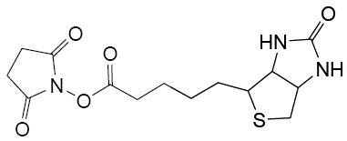 NHS-Biotin