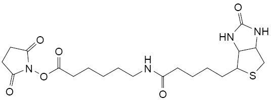 NHS-LC-Biotin