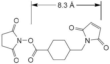 SMCC交联剂(不溶于水)