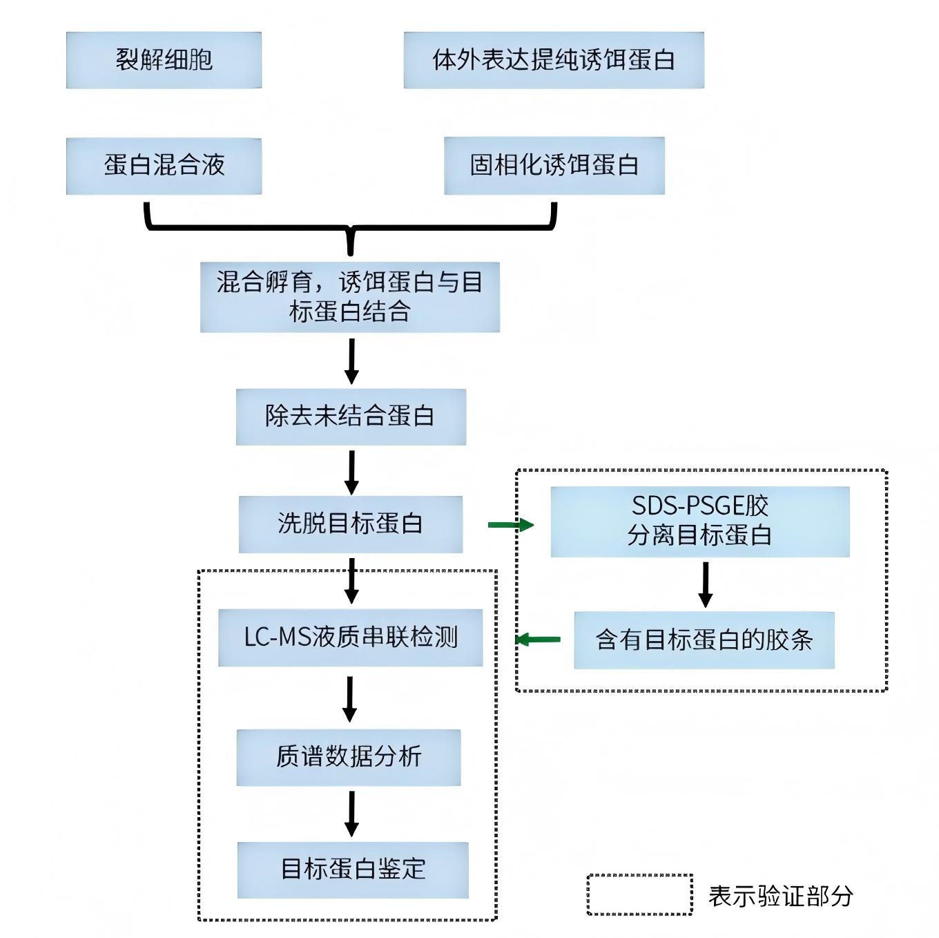 GST Pull-Down实验试剂盒