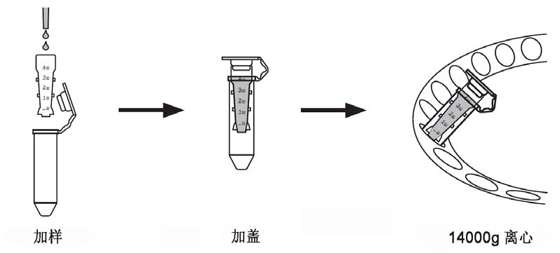 外泌体浓缩柱