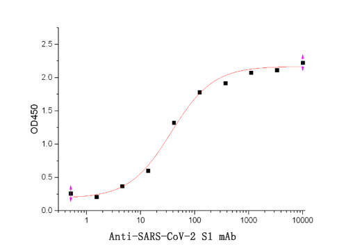 SARS-CoV-2 S1蛋白抗体