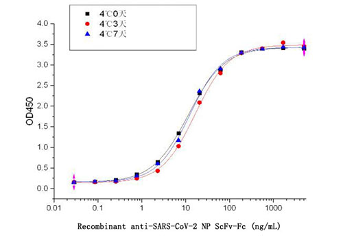 重组SARS-CoV-2 N蛋白单链抗体-Fc