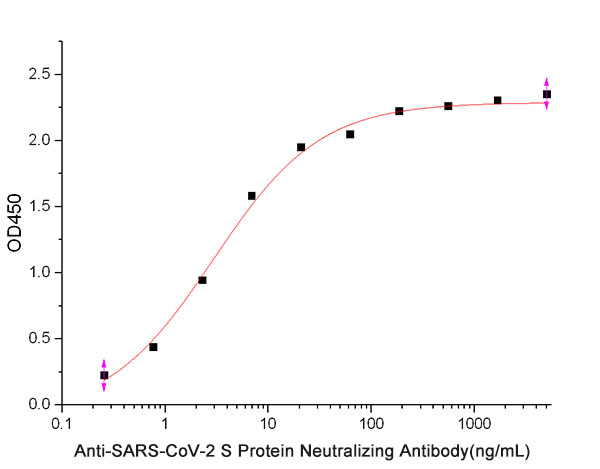 SARS-CoV-2 S蛋白中和抗体