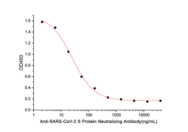 SARS-CoV-2 S蛋白中和抗体