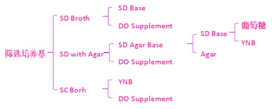 SG/-Ura with Agar(含半乳糖)