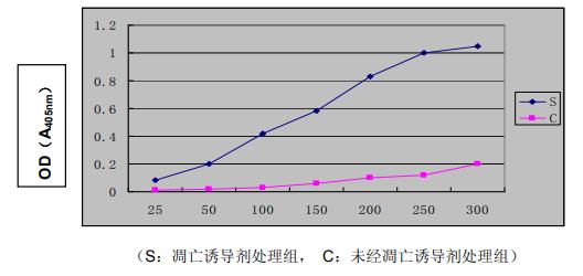 Caspase 3分光光度法检测试剂盒