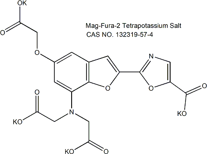 镁离子荧光探针(Mag-Fura-2)