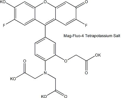 镁离子荧光探针(Mag-Fluo-4)