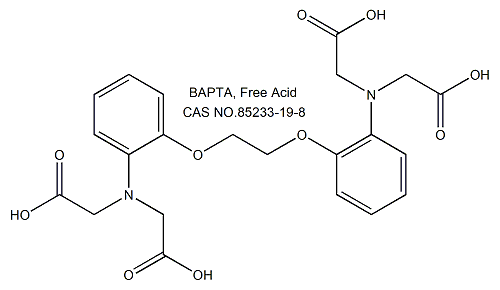 钙离子螯合剂(BAPTA)