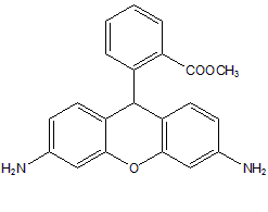 二氢罗丹明123结构式