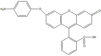 氨基苯基荧光素结构式