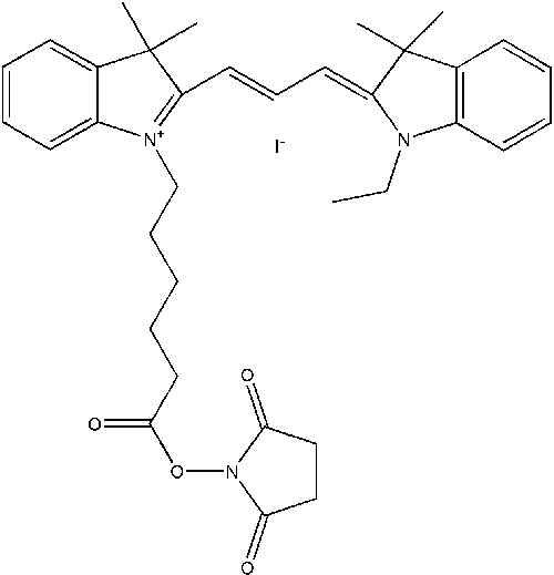 Cy3 NHS酯(脂溶性)