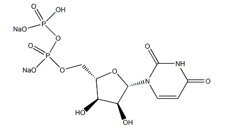 尿苷5'-二磷酸二钠盐