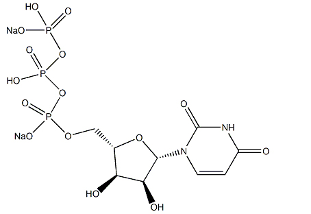 尿苷5'-三磷酸二钠盐
